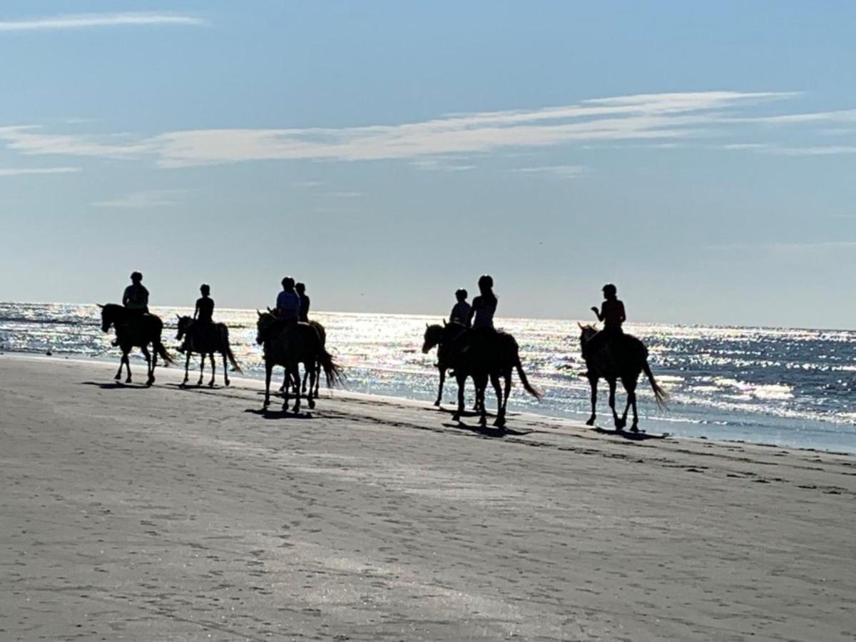 1313 Pelican Watch - Seabrook Island - Beachfront 5 Star Condo - Fido Friendly ภายนอก รูปภาพ